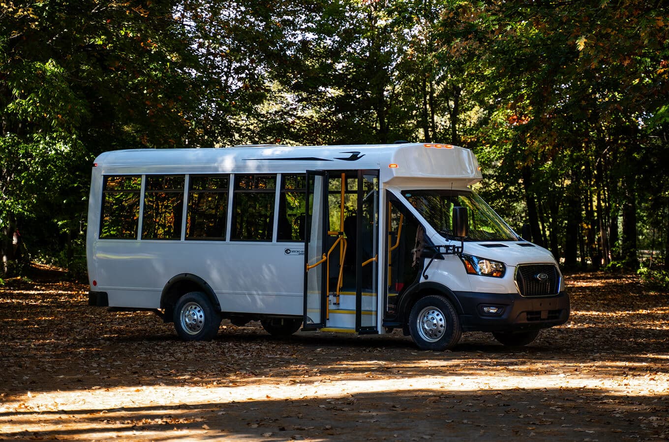 CT Series in Forest